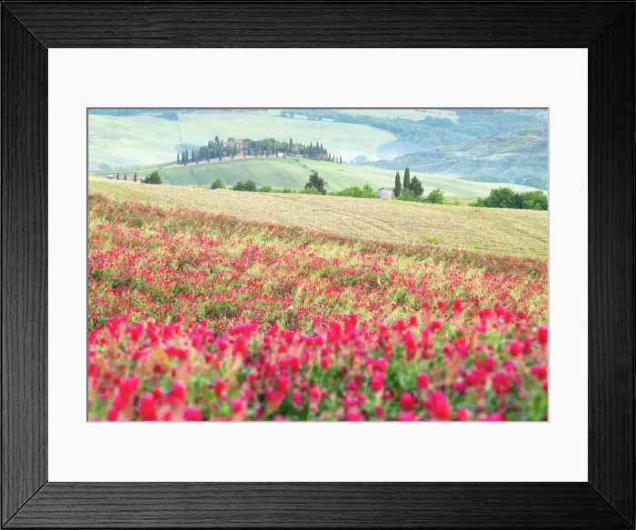 Framed Print : Spring in the Val d'Orcia, UNESCO, Tuscany, Italy Framed Print : Spring in the Val d'Orcia, UNESCO, Tuscany, Italy