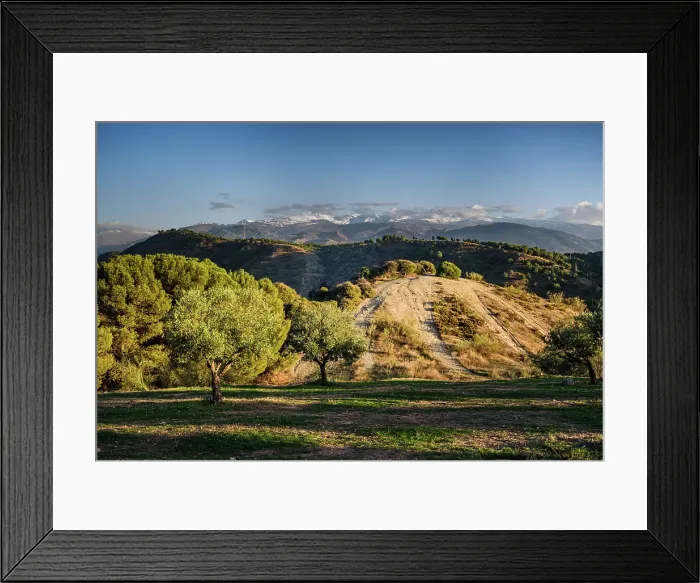 Framed Print : Olive trees and hills behind Granada and wide landscape with the snowy Sierra Nevada behind, Granada, Andalusia, Spain Framed Print : Olive trees and hills behind Granada and wide landscape with the snowy Sierra Nevada behind, Granada, Andalusia, Spain