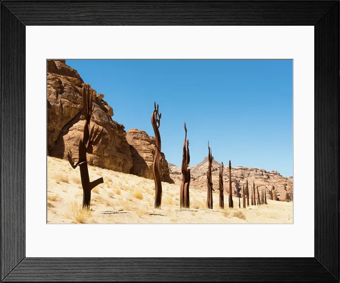 Framed Print : Installation by Nadim Karam, entitled On Parade, 2020 Desert X AlUla exhibition, Ashar Valley, Medina Province, Saudi Arabia