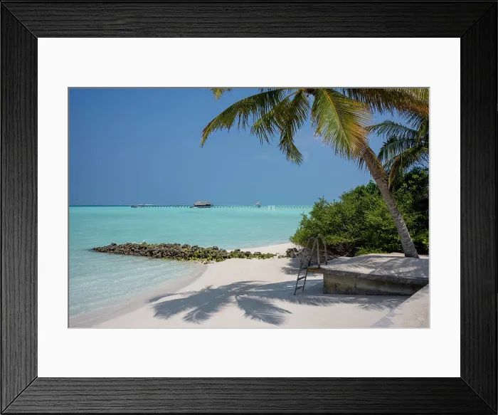 Framed Print : Palm tree and deck overlooking the crystal clear lagoon on an exotic Island in The Maldives, Indian Ocean Framed Print : Palm tree and deck overlooking the crystal clear lagoon on an exotic Island in The Maldives, Indian Ocean