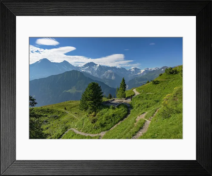 Framed Print : Botanical Garden, Schynige Platte, Jungfrau Region, Bernese Oberland, Switzerland Framed Print : Botanical Garden, Schynige Platte, Jungfrau Region, Bernese Oberland, Switzerland