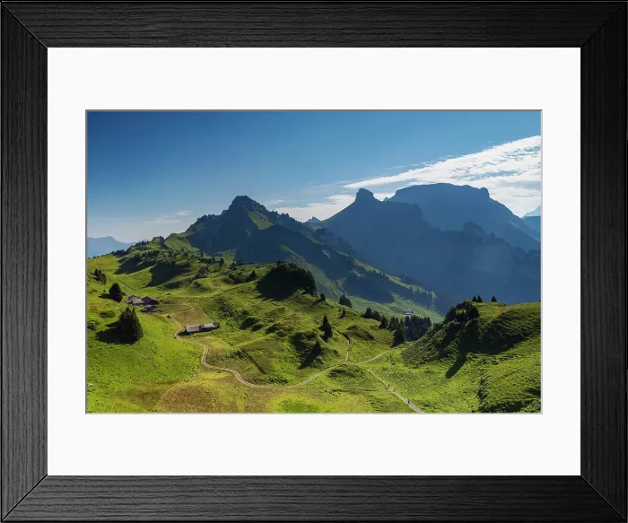 Framed Print : Hiking trail at Schynige Platte, Jungfrau Region, Bernese Oberland, Switzerland Framed Print : Hiking trail at Schynige Platte, Jungfrau Region, Bernese Oberland, Switzerland