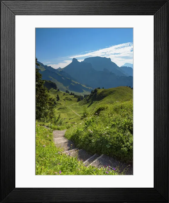 Framed Print : Hiking trail at Schynige Platte, Jungfrau Region, Bernese Oberland, Switzerland Framed Print : Hiking trail at Schynige Platte, Jungfrau Region, Bernese Oberland, Switzerland