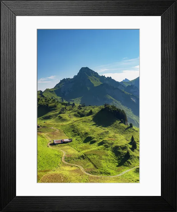 Framed Print : Schynige Platte, Jungfrau Region, Bernese Oberland, Switzerland Framed Print : Schynige Platte, Jungfrau Region, Bernese Oberland, Switzerland