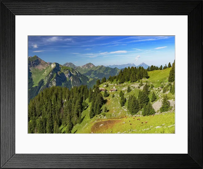 Framed Print : Scenery of cogwheel railway, Schynige Platte, Jungfrau Region, Bernese Oberland, Switzerland