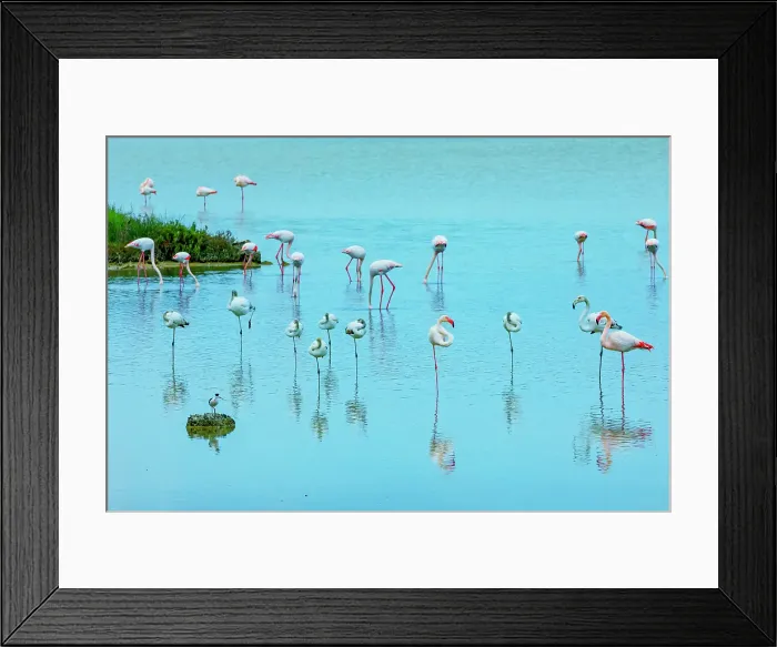 Framed Print : Vendicari wildlife oasis, Vendicari, Noto Valley, Sicily, Italy Framed Print : Vendicari wildlife oasis, Vendicari, Noto Valley, Sicily, Italy