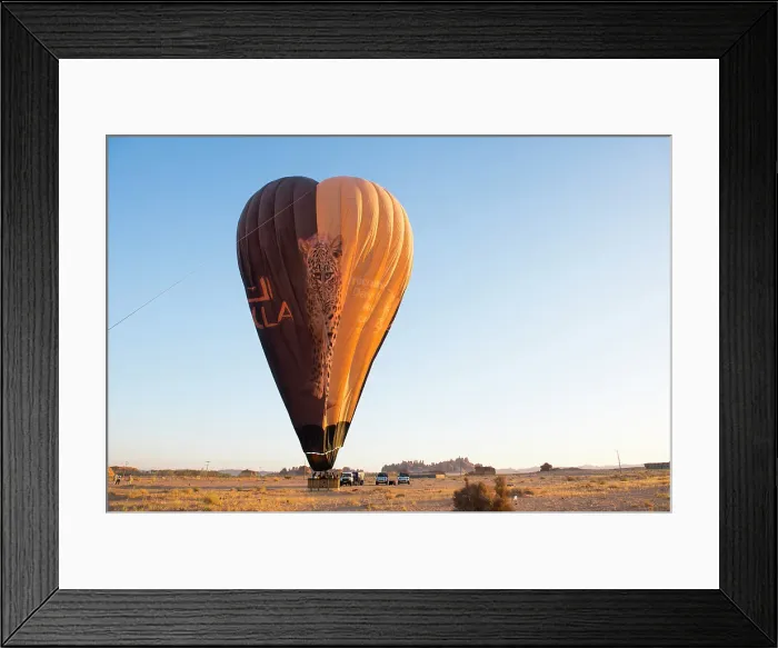 Framed Print : Balloon deflating after Hot air balloon flight over Hegra site and around with Hero Balloon Flights Saudi Operator, AlUla, Medina Province, Saudi Arabia Framed Print : Balloon deflating after Hot air balloon flight over Hegra site and around with Hero Balloon Flights Saudi Operator, AlUla, Medina Province, Saudi Arabia