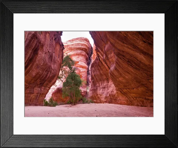 Framed Print : Canyon with sandstone walls in the Sharaan Nature Reserve, AlUla, Medina Province, Saudi Arabia