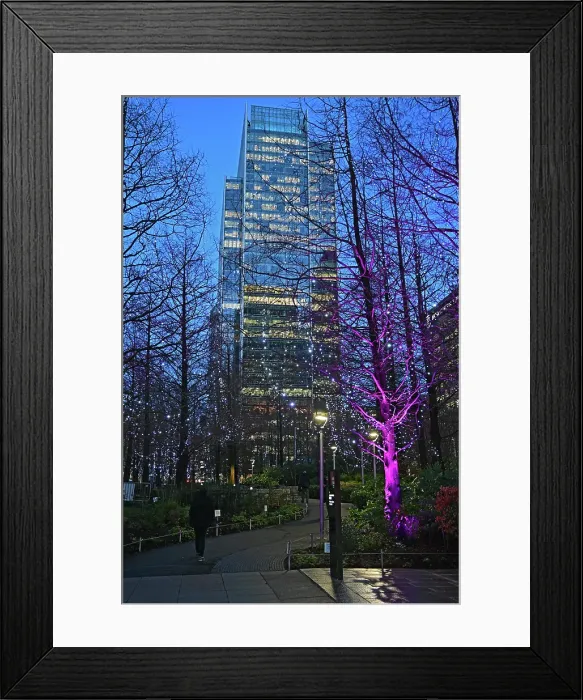 Framed Print : Winter Lights at Canary Wharf, Docklands, London, England, United Kingdom Framed Print : Winter Lights at Canary Wharf, Docklands, London, England, United Kingdom