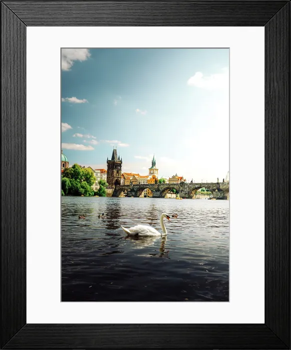 Framed Print : Spring sunset aerial view of the Old Town pier architecture and Charles Bridge over Vltava River, Prague, UNESCO, Czech Republic (Czechia) Framed Print : Spring sunset aerial view of the Old Town pier architecture and Charles Bridge over Vltava River, Prague, UNESCO, Czech Republic (Czechia)