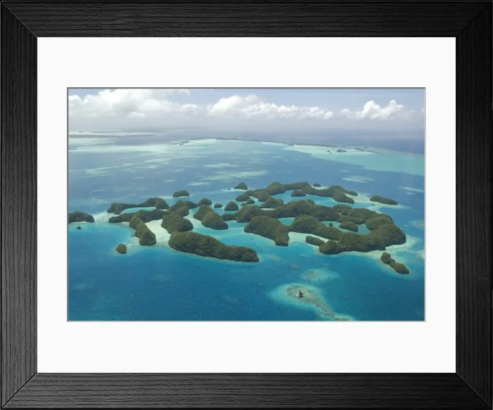 Framed Print : Seventy Islands (Ngerukewid Islands Wildlife Preserve), forest-covered limestone rock Framed Print : Seventy Islands (Ngerukewid Islands Wildlife Preserve), forest-covered limestone rock