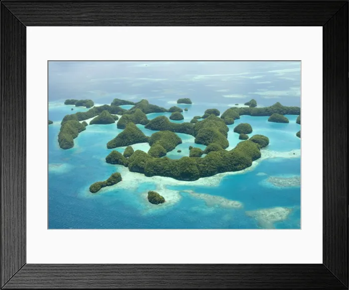 Framed Print : Seventy Islands (Ngerukewid Islands Wildlife Preserve), forest-covered limestone rock Framed Print : Seventy Islands (Ngerukewid Islands Wildlife Preserve), forest-covered limestone rock