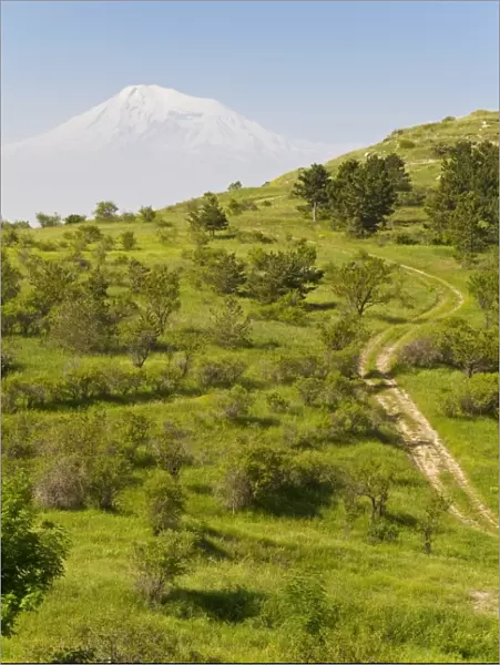 Path leading to Mount Ararat, Armenia, Caucasus, Central Asia, Asia