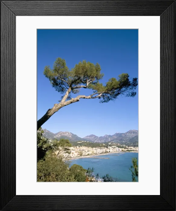 Framed Print : Menton, Alpes-Maritimes, Cote d Azur, Provence, French Riviera, France Framed Print : Menton, Alpes-Maritimes, Cote d Azur, Provence, French Riviera, France