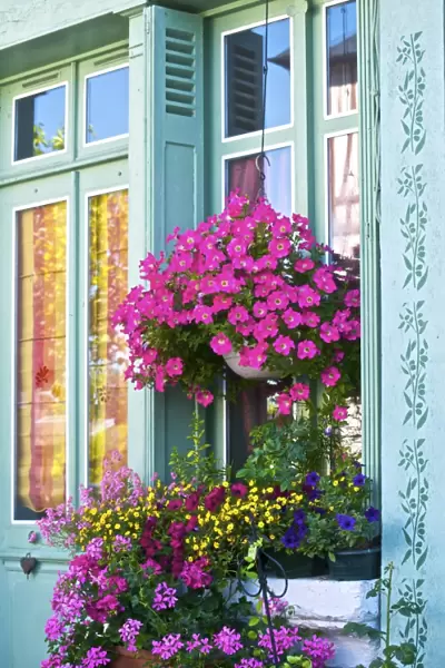 Window with flowers, France, Europe