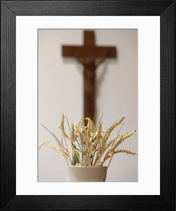 Framed Print : Wheat in Saint-Hugues church, Pontcharra, Isere, France, Europe Framed Print : Wheat in Saint-Hugues church, Pontcharra, Isere, France, Europe