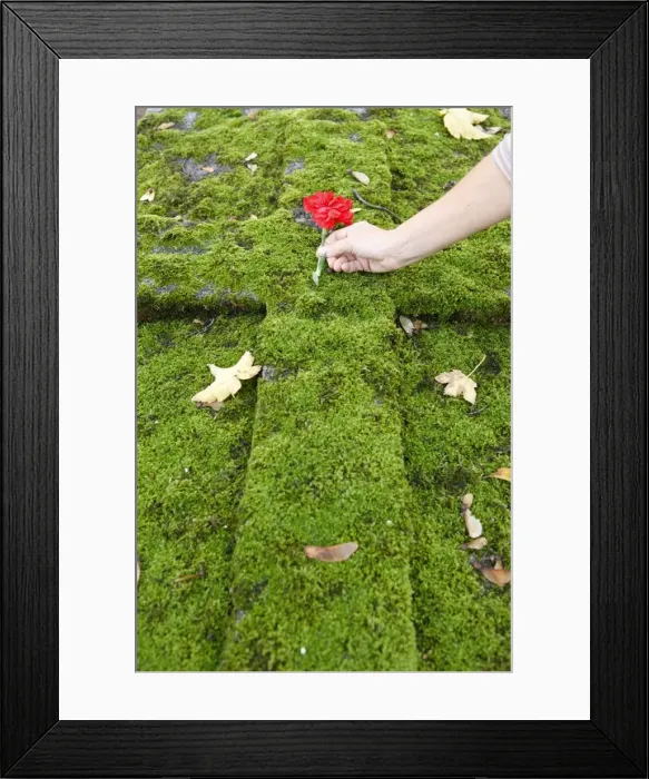 Framed Print : All-Souls day in a graveyard, Paris, France, Europe Framed Print : All-Souls day in a graveyard, Paris, France, Europe