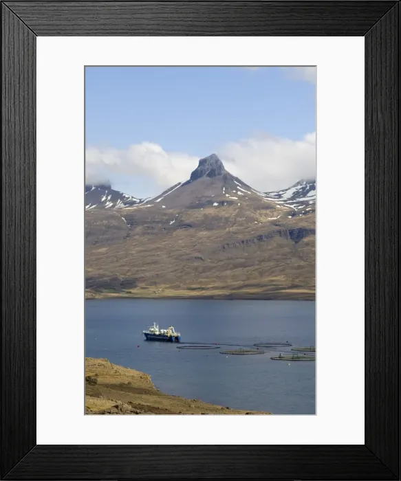 Framed Print : Hamarsfjordur fjord, South coast, Iceland, Polar Regions Framed Print : Hamarsfjordur fjord, South coast, Iceland, Polar Regions