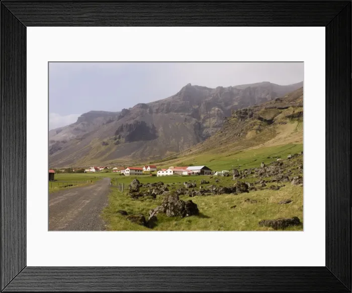 Framed Print : Icelandic sheep, Hof, South coast, Iceland, Polar Regions Framed Print : Icelandic sheep, Hof, South coast, Iceland, Polar Regions