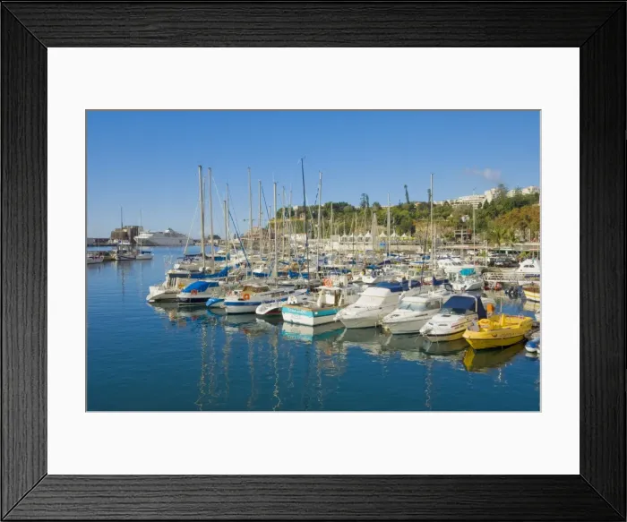Framed Print : Cruise ships and yachts in the harbour at Funchal, Madeira, Portugal, Atlantic, Europe Framed Print : Cruise ships and yachts in the harbour at Funchal, Madeira, Portugal, Atlantic, Europe