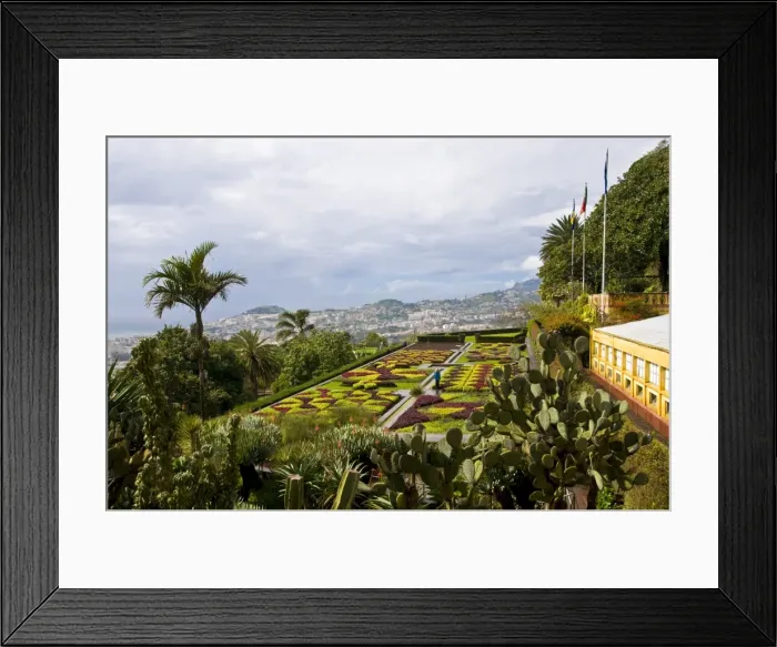 Framed Print : View over the Botanical Garden, Funchal, Madeira, Portugal, Europe Framed Print : View over the Botanical Garden, Funchal, Madeira, Portugal, Europe