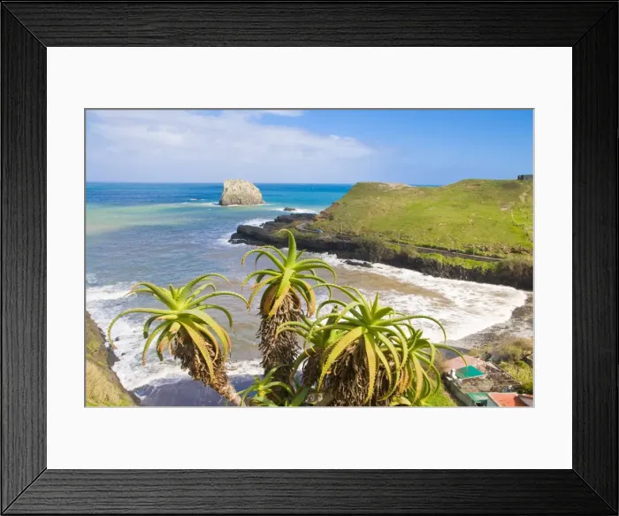 Framed Print : Porto da Cruz, Madeira, Portugal, Atlantic, Europe Framed Print : Porto da Cruz, Madeira, Portugal, Atlantic, Europe