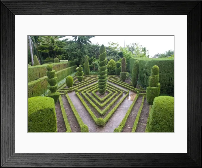 Framed Print : Topiary in formal garden, Botanical Garden, Funchal, Madeira, Portugal, Europe Framed Print : Topiary in formal garden, Botanical Garden, Funchal, Madeira, Portugal, Europe