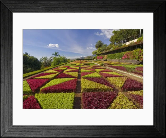 Framed Print : Formal gardens in the Botanical gardens (Jardim Botanico), above Funchal Framed Print : Formal gardens in the Botanical gardens (Jardim Botanico), above Funchal