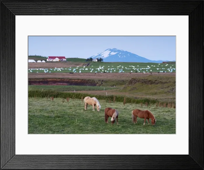 Framed Print : Agricultural land at the foot of the mighty volcano Hekla, north of Hella Framed Print : Agricultural land at the foot of the mighty volcano Hekla, north of Hella