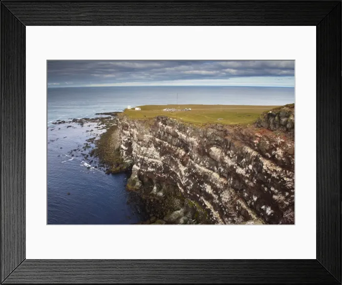 Framed Print : High cliffs rising to 400m at Latrabjarg, the largest bird colony in Europe Framed Print : High cliffs rising to 400m at Latrabjarg, the largest bird colony in Europe