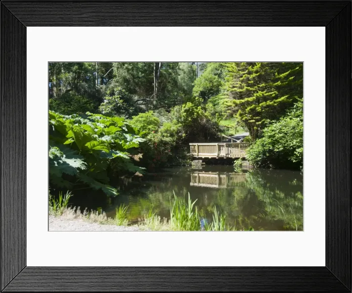 Framed Print : Botanical Gardens at Kells, Ring of Kerry, County Kerry, Munster, Republic of Ireland Framed Print : Botanical Gardens at Kells, Ring of Kerry, County Kerry, Munster, Republic of Ireland