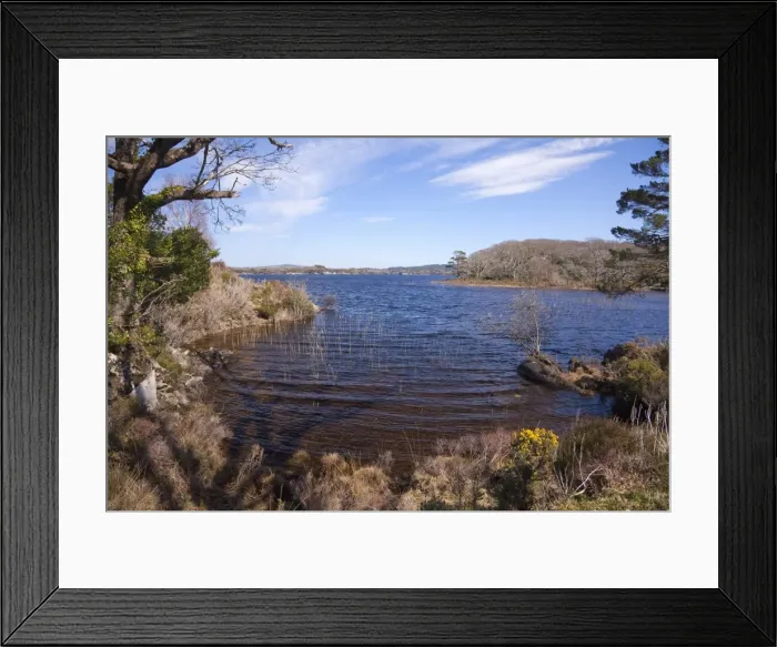 Framed Print : Mucross, Lake Killarney, Ring of Kerry, Munster, Republic of Ireland, Europe Framed Print : Mucross, Lake Killarney, Ring of Kerry, Munster, Republic of Ireland, Europe