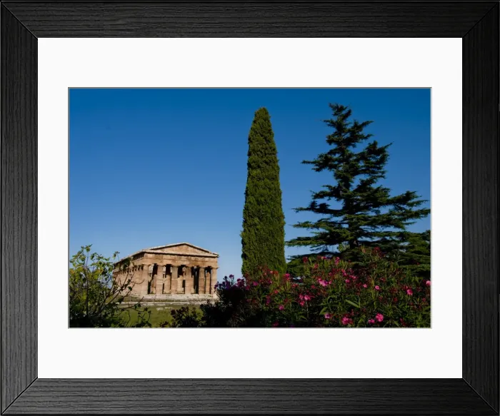 Framed Print : Temple of Hera (Basilica), ruins of Paestum, UNESCO World Heritage Site Framed Print : Temple of Hera (Basilica), ruins of Paestum, UNESCO World Heritage Site