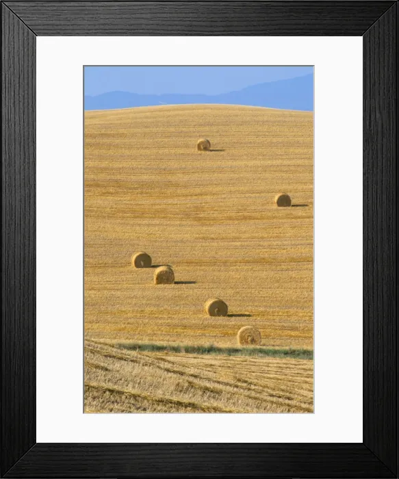 Framed Print : Hay bales, Val d Orcia, Siena province, Tuscany, Italy, Europe Framed Print : Hay bales, Val d Orcia, Siena province, Tuscany, Italy, Europe