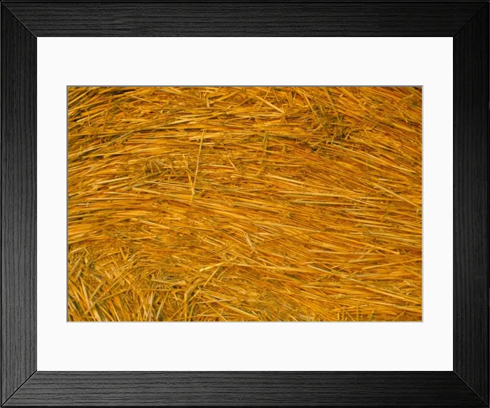 Framed Print : Detail of hay bale, Crete Senesi, Siena province, Tuscany, Italy, Europe Framed Print : Detail of hay bale, Crete Senesi, Siena province, Tuscany, Italy, Europe