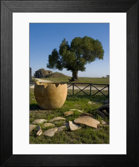 Framed Print : Tarquinia, Viterbo, Lazio, Italy, Europe Framed Print : Tarquinia, Viterbo, Lazio, Italy, Europe