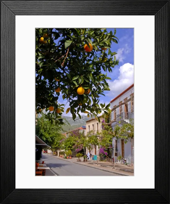 Framed Print : Orange tree in a little village in the Lakonian Mani, Peloponnese, Greece, Europe Framed Print : Orange tree in a little village in the Lakonian Mani, Peloponnese, Greece, Europe