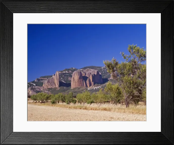 Framed Print : Almond trees below the Los Mallos rock pillars at Riglos, Aragon, Spain, Europe