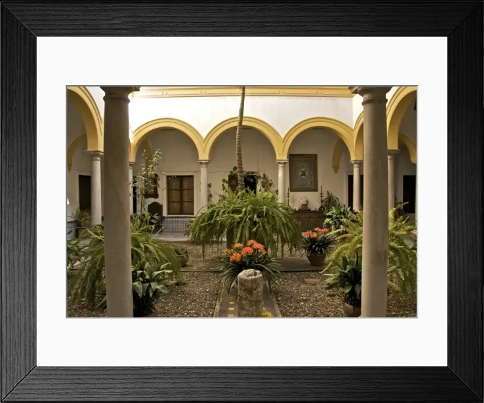Framed Print : A patio in the Alcazar, Seville, Andalusia, Spain, Europe Framed Print : A patio in the Alcazar, Seville, Andalusia, Spain, Europe