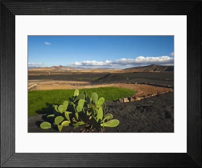 Framed Print : Prickly pear cactus and irrigated crop amidst black lava rock, with town of Soo in the distance Framed Print : Prickly pear cactus and irrigated crop amidst black lava rock, with town of Soo in the distance