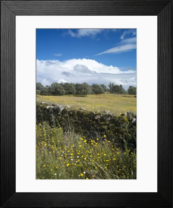 Framed Print : Landscape near Villanueva de la Vera, La Vera, Extremadura, Spain, Europe Framed Print : Landscape near Villanueva de la Vera, La Vera, Extremadura, Spain, Europe