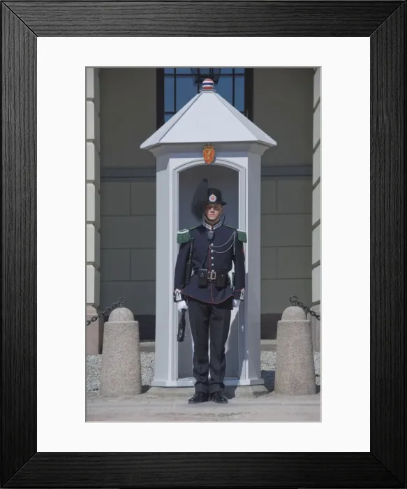 Framed Print : Sentry duty at the Royal Palace, Oslo, Norway, Scandinavia, Europe Framed Print : Sentry duty at the Royal Palace, Oslo, Norway, Scandinavia, Europe