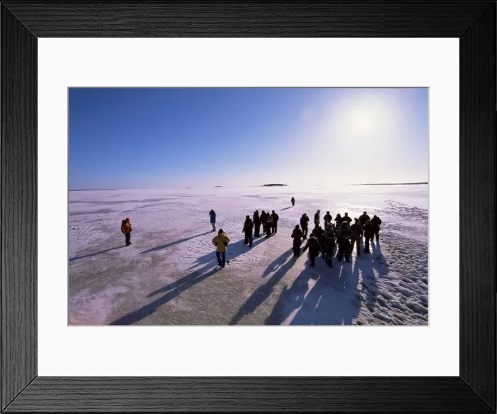 Framed Print : People walking on pack ice, Gulf of Bothnia, Lapland, Sweden, Scandinavia, Europe Framed Print : People walking on pack ice, Gulf of Bothnia, Lapland, Sweden, Scandinavia, Europe
