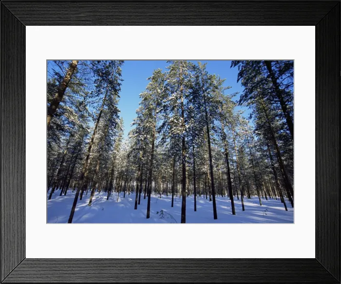 Framed Print : Lulea, Lapland, Sweden, Scandinavia, Europe Framed Print : Lulea, Lapland, Sweden, Scandinavia, Europe