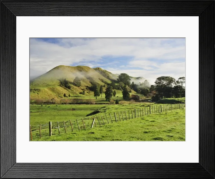 Framed Print : Farmland, near Matawai, Gisborne, North Island, New Zealand, Pacific Framed Print : Farmland, near Matawai, Gisborne, North Island, New Zealand, Pacific