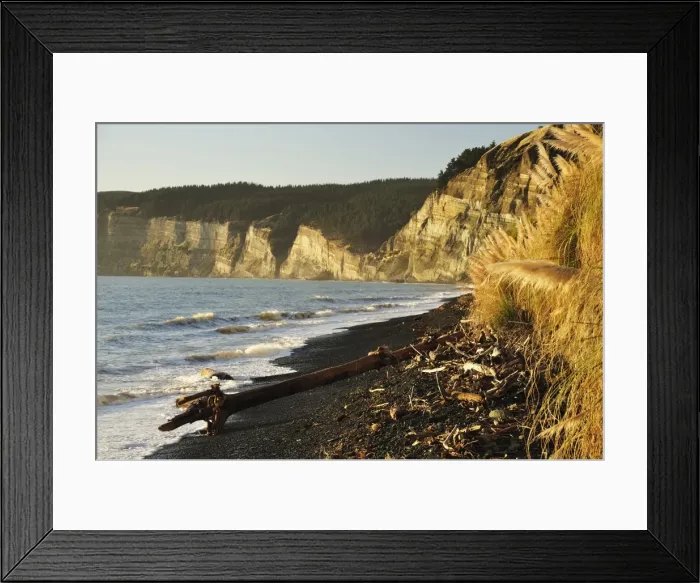 Framed Print : Cape Kidnappers, Hawkes Bay, North Island, New Zealand, Pacific Framed Print : Cape Kidnappers, Hawkes Bay, North Island, New Zealand, Pacific