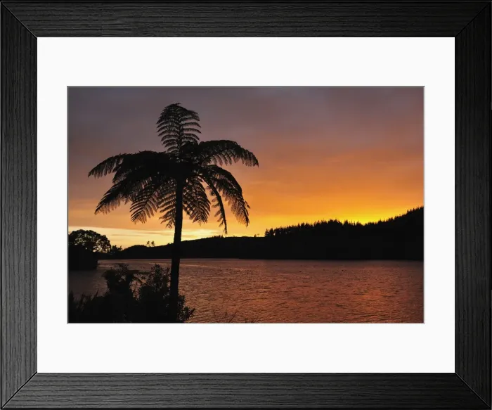 Framed Print : Sunrise, Lake Mangamahoe, Taranaki, North Island, New Zealand, Pacific Framed Print : Sunrise, Lake Mangamahoe, Taranaki, North Island, New Zealand, Pacific