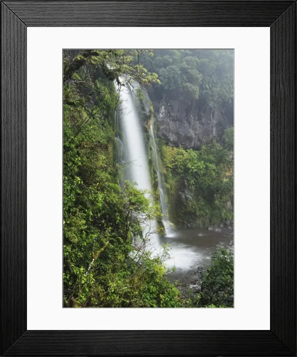 Framed Print : Dawson Falls, Mount Taranaki National Park (Mount Egmont National Park) Framed Print : Dawson Falls, Mount Taranaki National Park (Mount Egmont National Park)