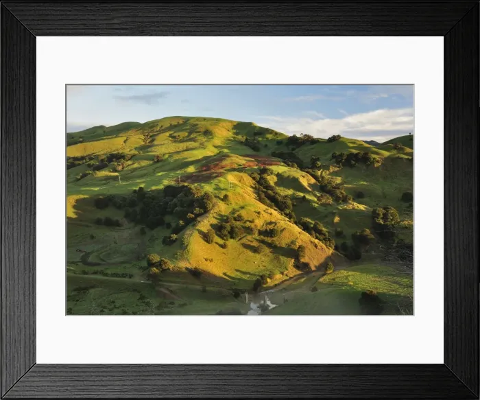 Framed Print : Farmland near Taraka, Gisborne, North Island, New Zealand, Pacific Framed Print : Farmland near Taraka, Gisborne, North Island, New Zealand, Pacific