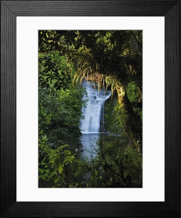 Framed Print : Bridal Veil Falls, Te Urewera National Park, Bay of Plenty, North Island Framed Print : Bridal Veil Falls, Te Urewera National Park, Bay of Plenty, North Island